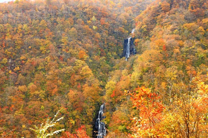 蔵王の紅葉の三連の滝の画像