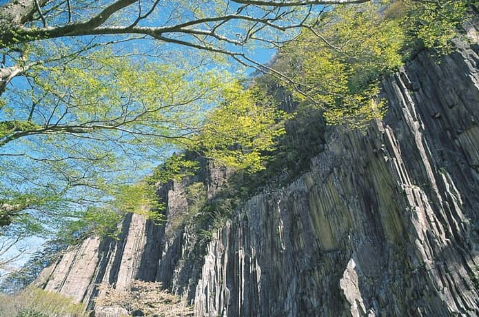 材木岩