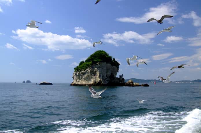 松島と遊覧船
