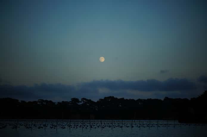松島湾と月