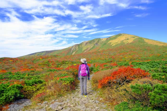 紅葉の名所 栗駒山 へ行こう 登山ルートとアクセス方法 Gogo Miyagi