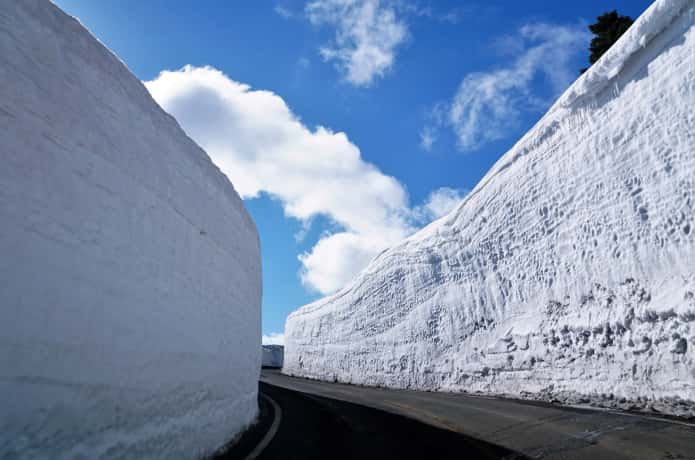 蔵王　雪の回廊