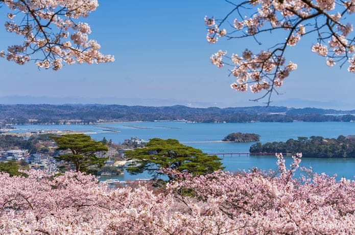 宮城の桜 お花見の名所から穴場までを紹介 21年版 Gogo Miyagi