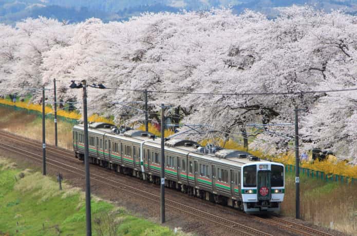 白石川の一目千本桜とJR東北本線