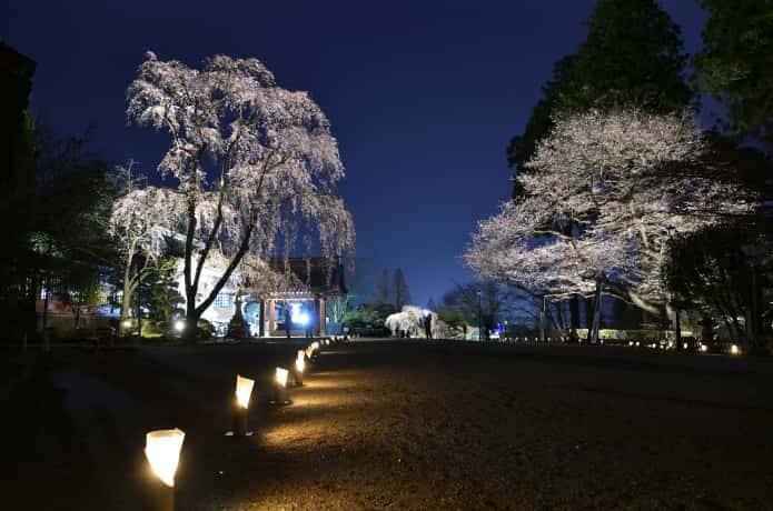 鹽竈神社　ライトアップ