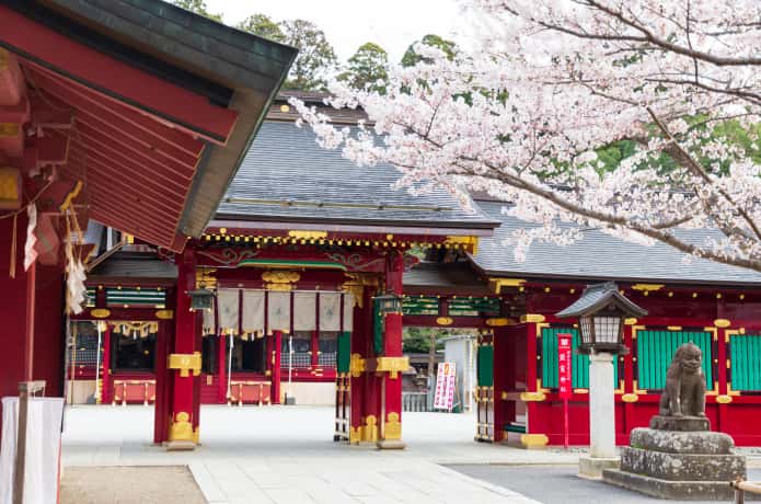 鹽竈神社と桜