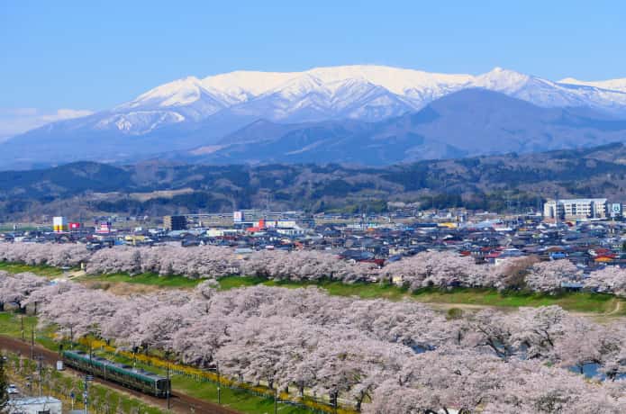 白石川堤一目千本桜と残雪の蔵王連峰