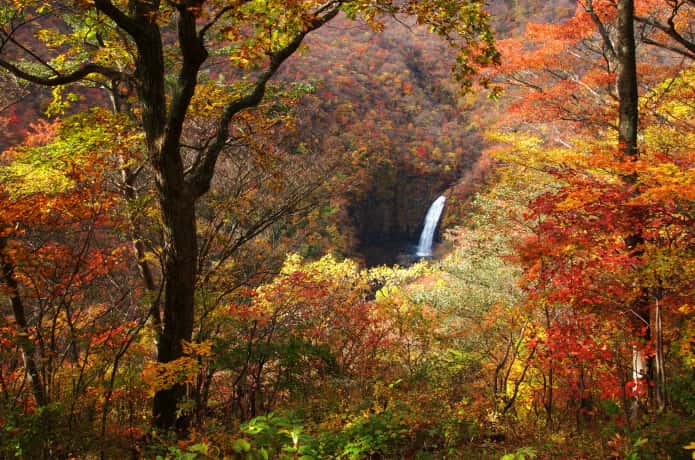 紅葉と蔵王　不動の滝