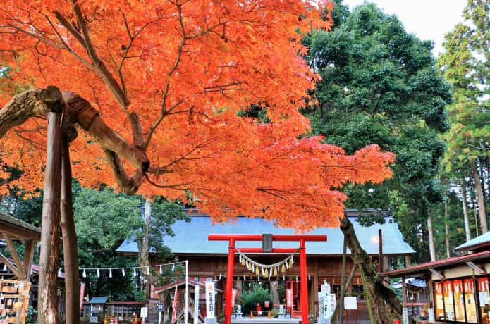 賀茂神社の境内