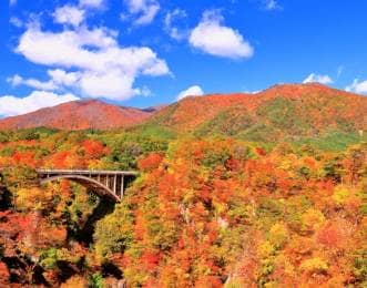 秋の鳴子峡