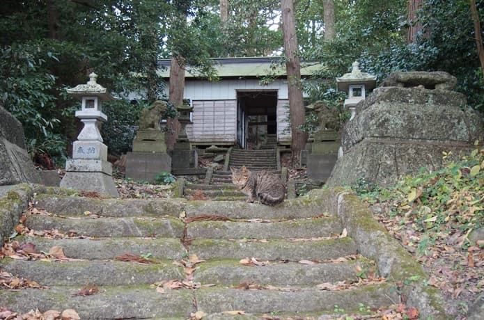 桂島　松崎神社