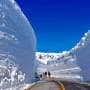 蔵王町　雪の壁