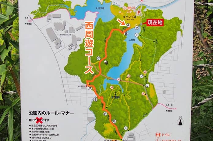 仙台　水の森公園　マップ
