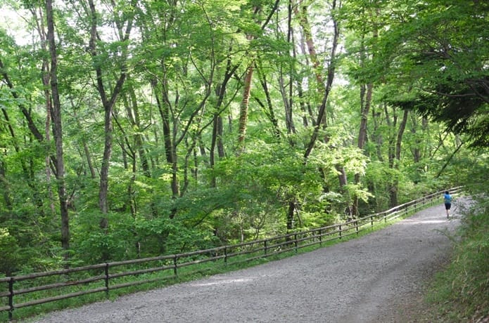 台原森林公園　ジョギングコース