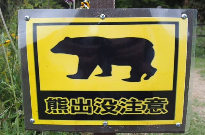 水と森の公園　仙台　熊　注意喚起