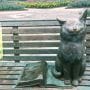 七北田公園　猫の像