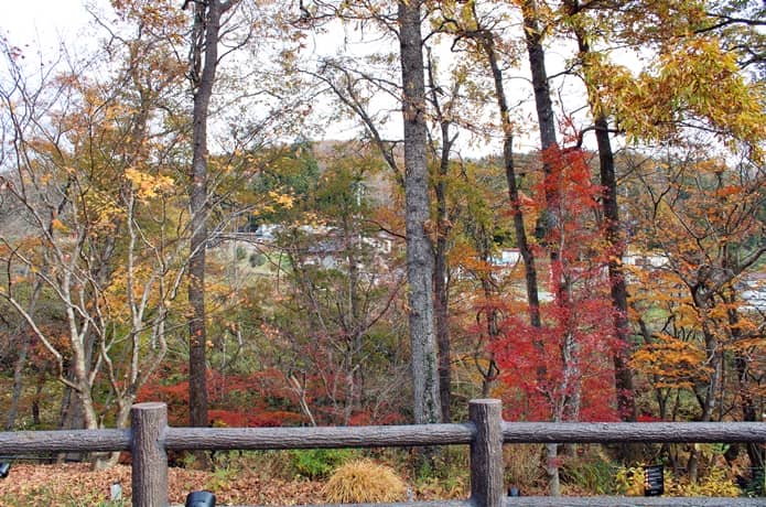 秋保・里センター　足湯から眺める紅葉