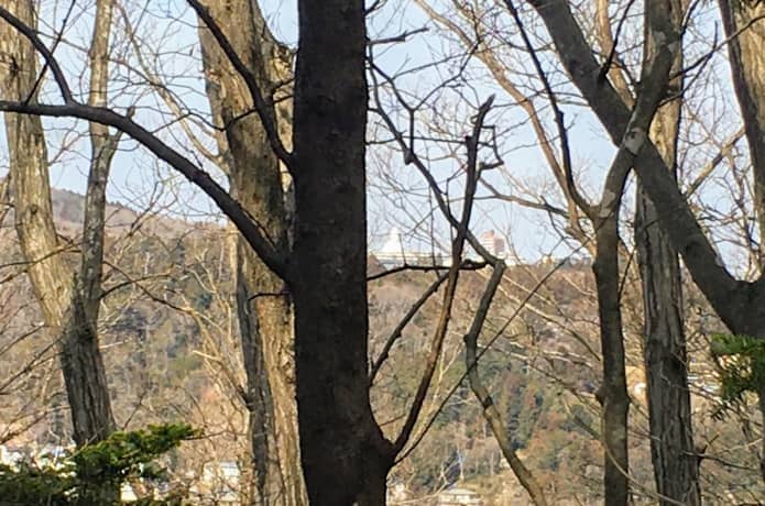 亀岡八幡宮　頂上からの景色