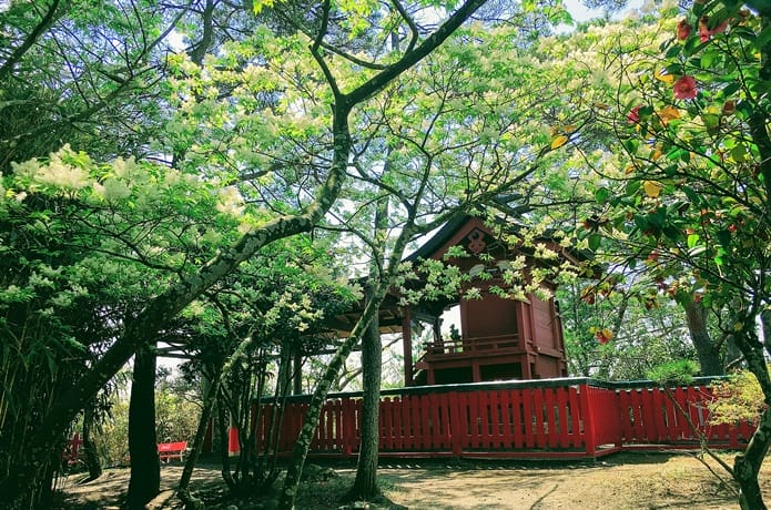 曲木神社　社殿