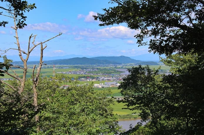 トヤケ森山 木々の間から見える景色